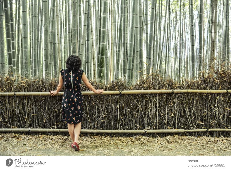 bamboo Human being Feminine Young woman Youth (Young adults) Woman Adults 1 Landscape Plant Bushes Exotic Bamboo Bamboo fence Forest Vertical Line Dress