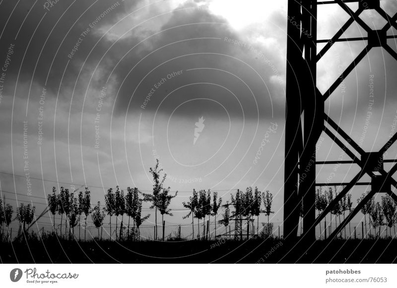 Autumn 06.2 Clouds Bad weather Dark Gray Raincloud Electricity pylon Large Tree Small Maturing time Meadow Industrialization Exterior shot Sky Nature Weather