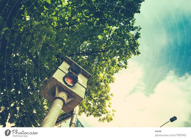 Potz Blitz! What was that? Camera Measuring instrument Sky Tree Transport Rush hour Road traffic Motoring Street Car Sign Road sign Driving Speed Green Safety