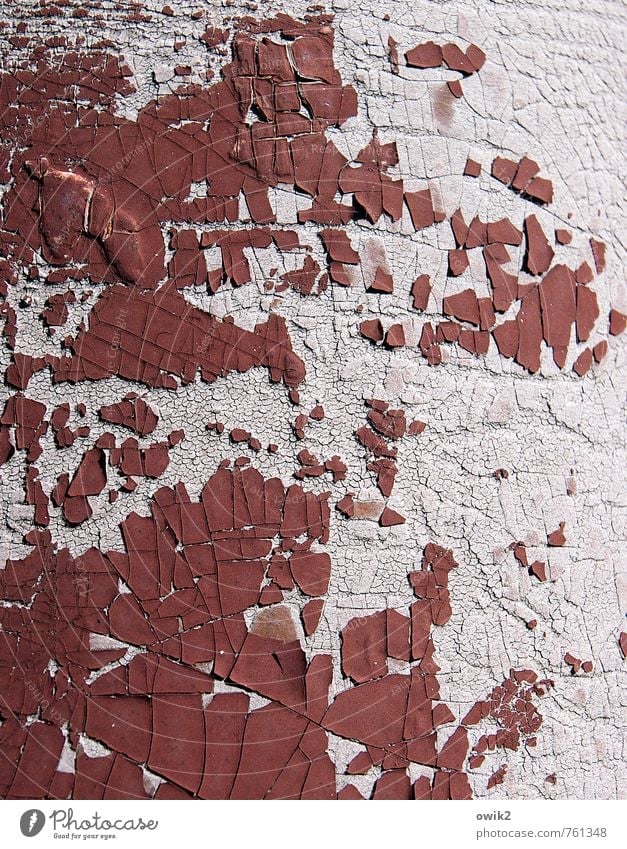 colour lint Surface structure Concrete Old Gloomy Patient Decline Transience Change Destruction Ravages of time Flake off Burgundy Dye Crack & Rip & Tear Part