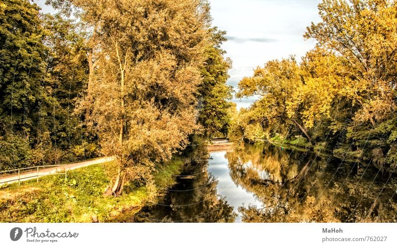 on the Nidda Nature Landscape Plant Water Autumn River bank Brook Outskirts Deserted Breathe Movement Discover Going Hiking Free Friendliness Happiness Natural