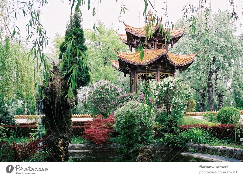 Chinese Garden China Calm Beautiful Plant Nature Relaxation
