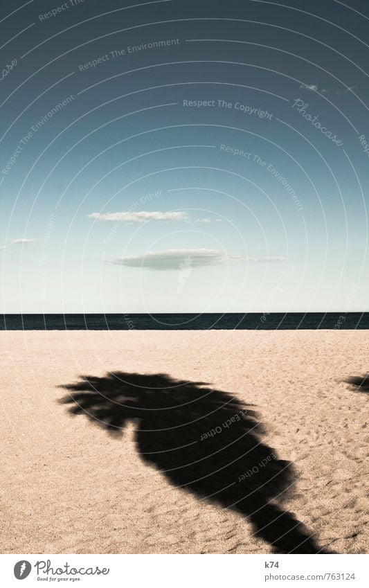 aground Landscape Elements Sand Air Water Sky Horizon Plant Tree Exotic Palm tree Coast Beach Ocean Free Bright Warmth Blue Calm Hope Humble Boredom Wanderlust