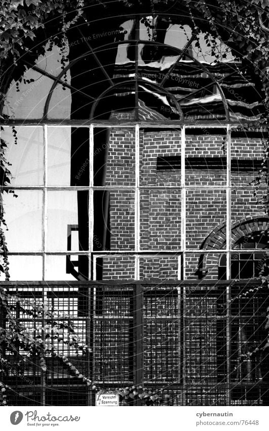 industrial romance Building Mining Window Rung Steel Brick Facade Ivy Reflection Romance Industrial Photography Past Glass electric fence Distorted Architecture