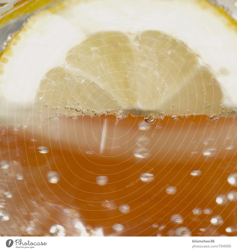 Water with taste Slice of lemon Beverage Drinking Cold drink Drinking water Carbonic acid Simple Fluid Healthy Natural Yellow Lemon Citrus fruits Vitamin C