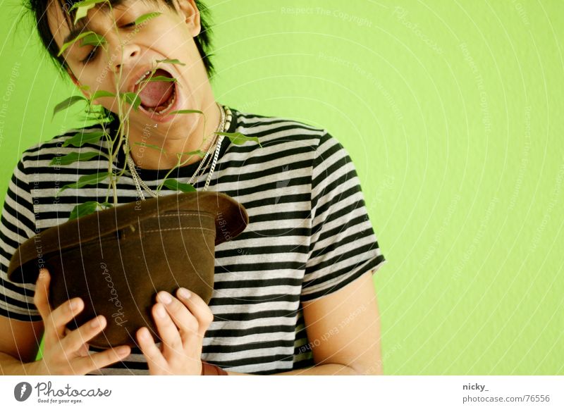 it's better to be carnivorous Man Stripe Green Plant Wall (building) Human being vegetraisch Hat Mouth Bite Appetite rico Face big mäc Lettuce Vegan diet eating