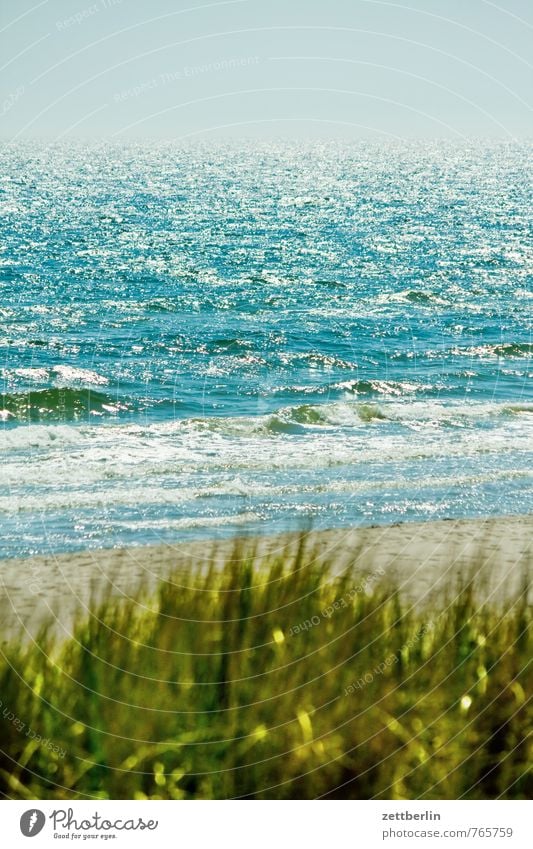 ocean Relaxation Vacation & Travel goehren Horizon Coast Mecklenburg-Western Pomerania Ocean Baltic Sea Beach Lake Waves Wind Surf Beginning Water