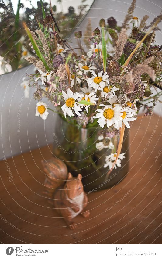 Withered Plant Flower Blossom Bouquet Vase Mirror Figure Squirrel Faded Esthetic Beautiful Wild Colour photo Interior shot Deserted Day