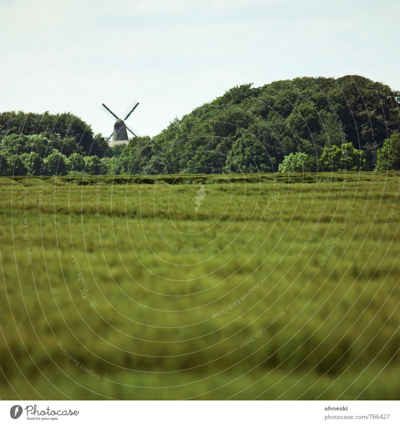 Mühlhausen Landscape Summer Tree Field Forest Mill Windmill Windmill vane Idyll Sustainability Country life Colour photo Exterior shot Deserted Copy Space top