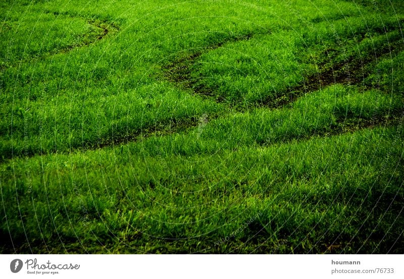 Tractose 3 Pattern Field Physics Green Grass tractor tracks shadows Shadow Warmth Tractor track