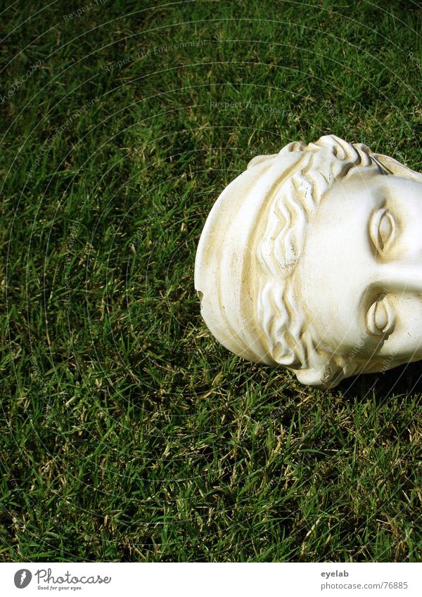 concrete head Green Grass White Bust Statue Marble Old Copy Space left Copy Space bottom Partially visible Detail of face Historic Sculpture Lawn