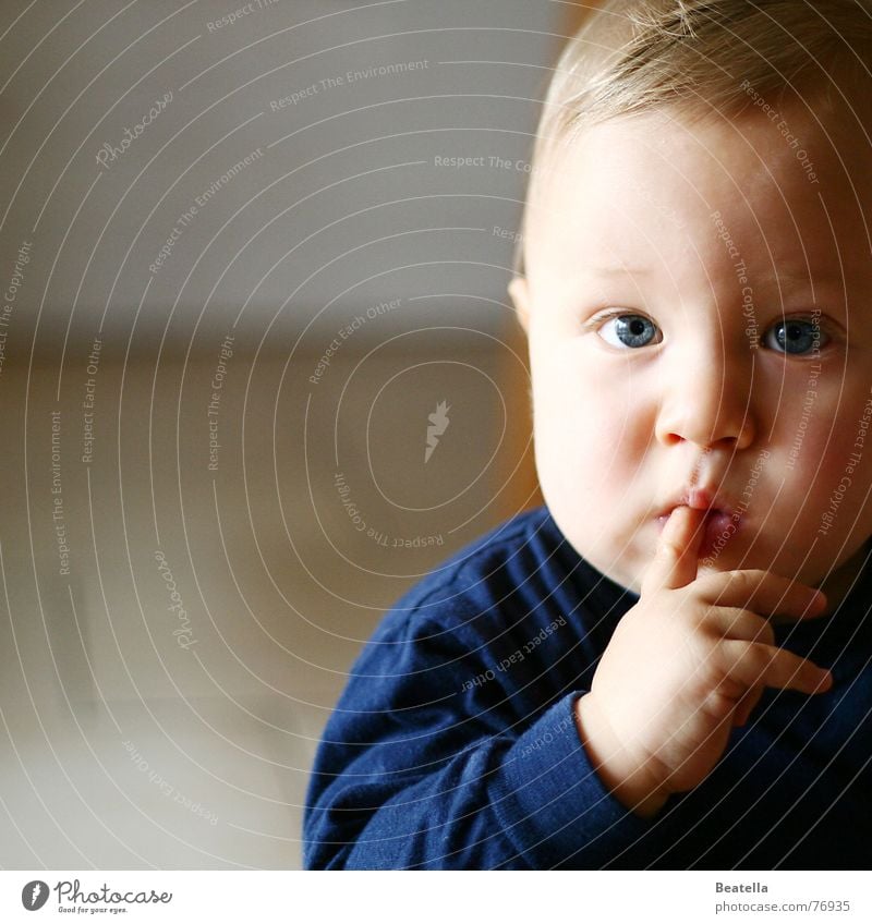 hmm Child Baby Fingers Hand Suck Sense of taste Fat Face Mouth Looking Boy (child) Blue Overweight