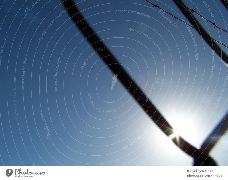 Soon outside Barbed wire Wire netting Fence Back-light Flashy Captured Border Sun Blue Freedom Bright spot