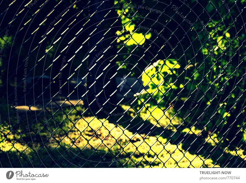 Sun netting: A wire mesh fence with light reflections in front of a park in lush green with bright and shady areas Freedom Summer Garden Environment Nature