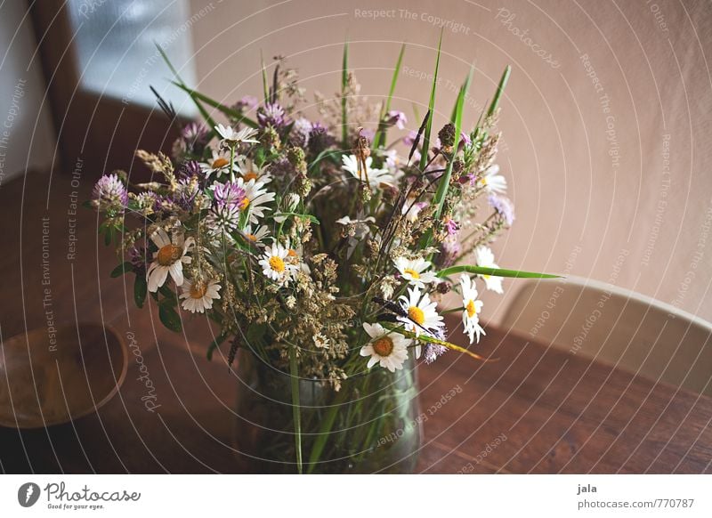 Vases with Beautiful Flowers on Table in Kitchen Interior. Stock