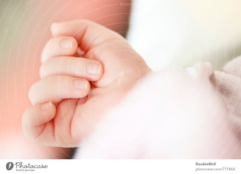 Manicure? No! Baby Hand Fingers 1 Human being 0 - 12 months Relaxation To hold on Near Cute Beautiful Pink Serene Infancy Calm Contentment Colour photo