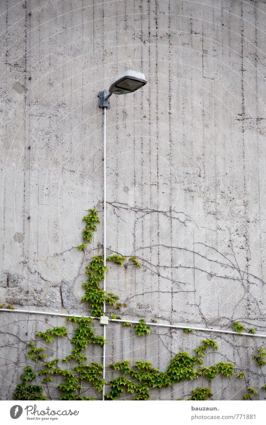 HH +. Technology Energy industry Renewable energy Plant Ivy Foliage plant Town Factory Dugout Wall (barrier) Wall (building) Facade Lamp Lighting Cable Concrete