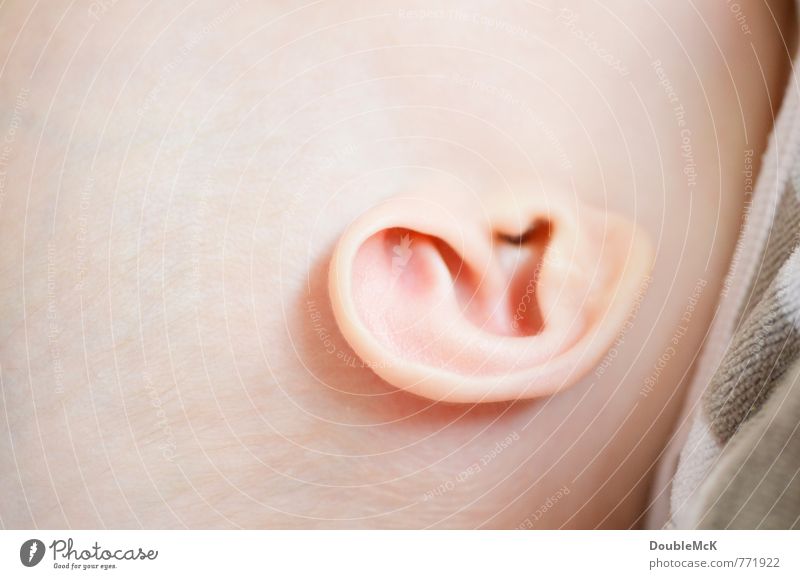But I hear you! Baby Head Ear 1 Human being 0 - 12 months Listening Natural Round Clean Pink Contentment Infancy Outer ear Colour photo Subdued colour