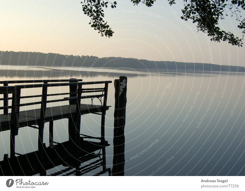 In the morning at the lake Lake Homey Footbridge Cold Romance Reflection Tree Leaf Jetty Morning Fresh Hölzerner Lake Silhouette Shroud of fog Vail Emotions