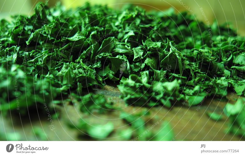 parsley Parsley Green Herbs and spices Leaf Heap Chop Kitchen Cooking Close-up Nutrition Spicy