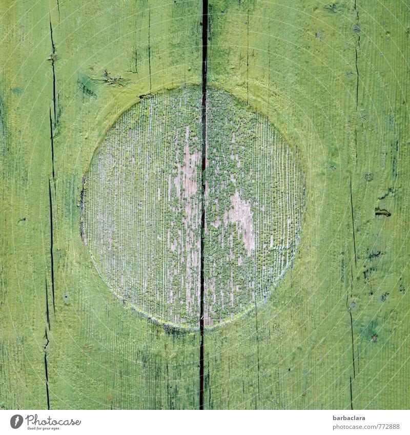 green circle in square Hut Wall (barrier) Wall (building) Door Wood Sign Line Circle Old Green Protection Colour Hope Symmetry Attachment Colour photo