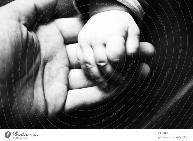 hand in hand Hand Safety (feeling of) Baby Fingers Father Mother Child Caresses Help Black & white photo dad Adults