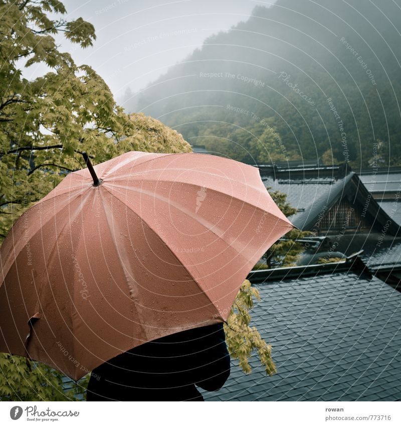 umbrella Human being Feminine Young woman Youth (Young adults) Woman Adults Bad weather Storm Fog Rain Tree Forest Hill Mountain Wet Umbrella Asia Japan Roof
