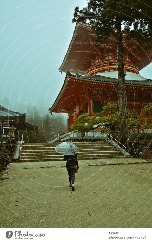 danjo guarantee Nature Bad weather Storm Fog Rain Tree Exotic Pagoda Temple Japan Umbrella Romance Religion and faith Buddhism To go for a walk Tourism