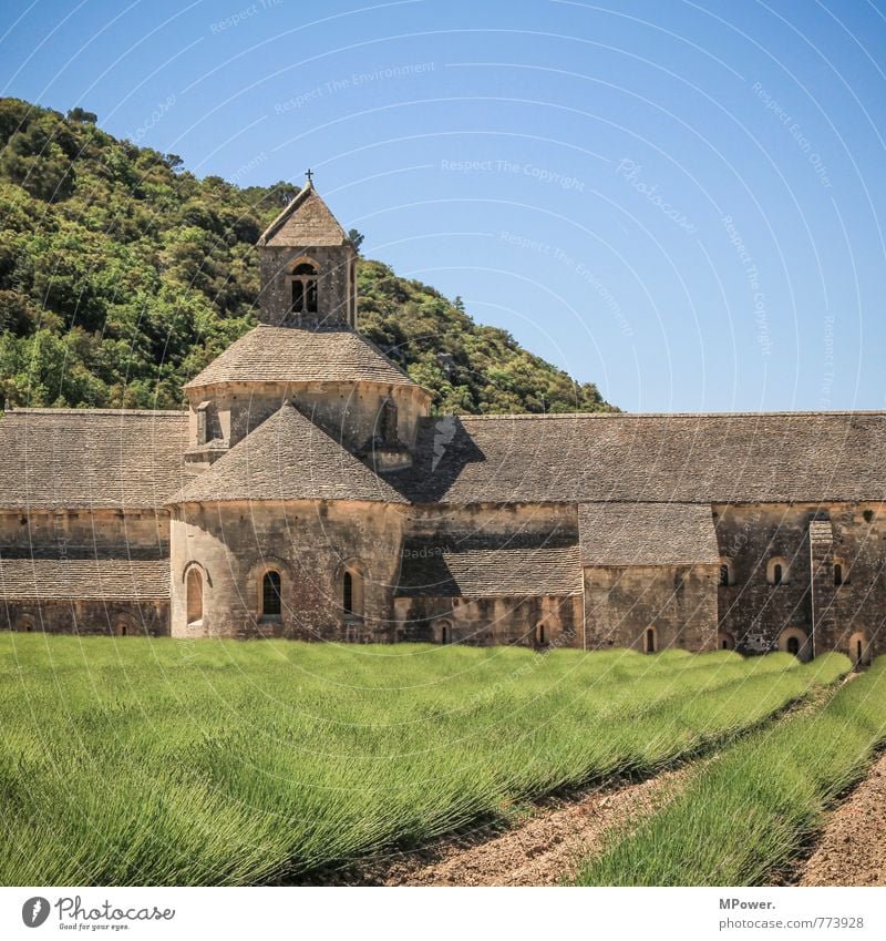 Abbaye de Sènanque Nature Sky Cloudless sky Beautiful weather Meadow Field Mountain Manmade structures Building Architecture Tourist Attraction Landmark