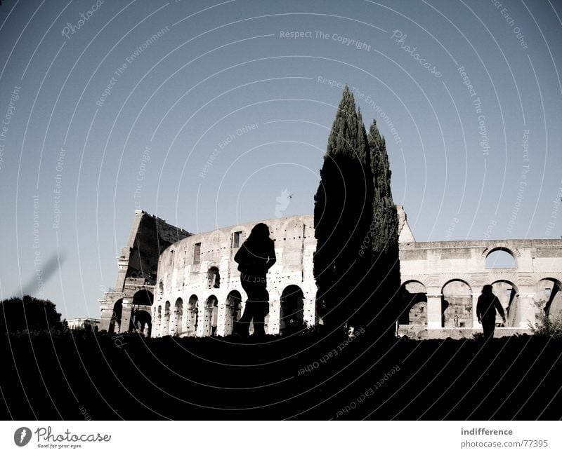 Colosseum Rome Italy Novel Human being tree shadows building historical ancient walking