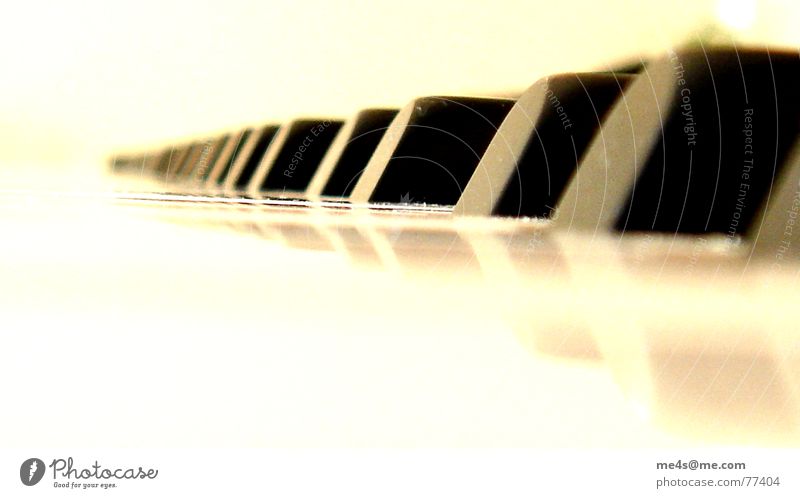 Klafünf Piano Synthesizer Keyboard instrument Sound Musical instrument string Mechanics Assault Black Reflection Hissing Blur Progress Small Horizon Pedal