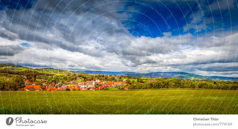 Panorama view of Vorau / hill Wellness Senses Vacation & Travel Trip Summer Sun Mountain Hiking Environment Nature Landscape Clouds Beautiful weather Tree Grass