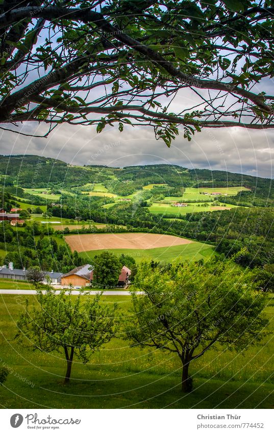 Hill country view from Pöllauberg Happy Relaxation Calm Meditation Spa Vacation & Travel Tourism Trip Sun Nature Landscape Clouds Summer Beautiful weather Plant