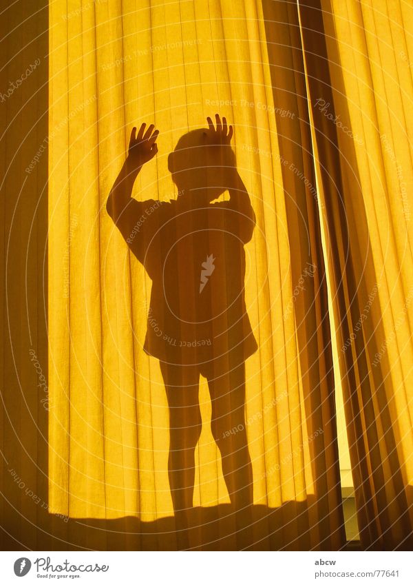 Behind the curtain Curtain Drape Yellow Child Hand Boy (child) Shadow Silhouette