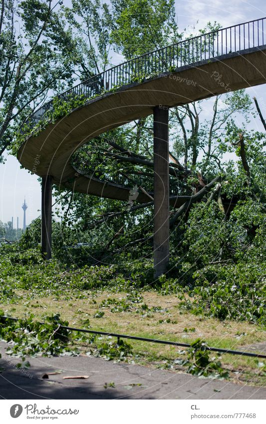 After the storm Environment Nature Landscape Summer Climate Climate change Weather Storm Wind Gale Tree Duesseldorf Town Bridge Manmade structures Transport