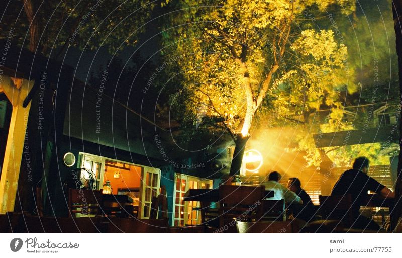 Morning Glow Tree Fog Night Restaurant Shanghai Human being Summer so much freelance glow Cheeseburger