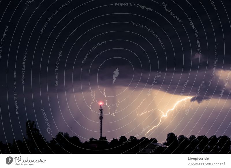 ...thunderous weather Environment Nature Landscape Elements Sky Clouds Storm clouds Night sky Summer Weather Gale Thunder and lightning Lightning Plant Tree