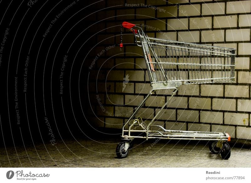 Your shopping cart is empty Shopping Trolley Go-kart Supermarket Grating Wall (building) Month Loneliness Push Store premises Logistics Wall (barrier)