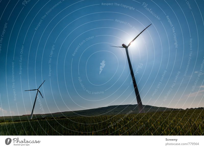 Wind Power Collector #4 Technology Energy industry Renewable energy Wind energy plant Environment Nature Sky Cloudless sky Sun Sunlight Spring Summer Plant