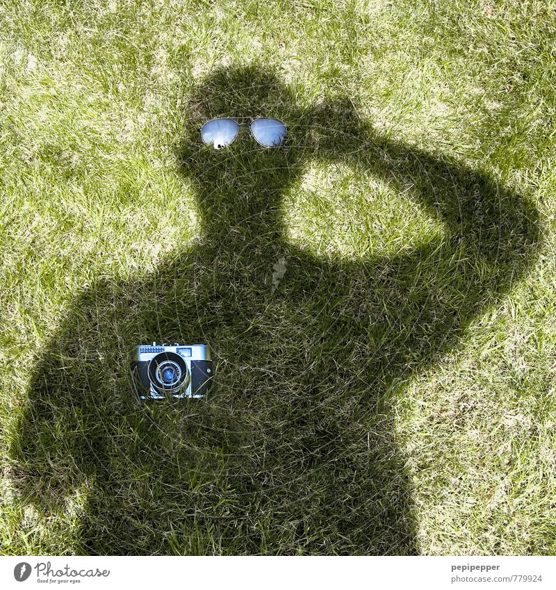 undercover Leisure and hobbies Summer Garden Camera Man Adults 1 Human being Art Grass Meadow Sunglasses Observe Carrying Exceptional Green Black Joy