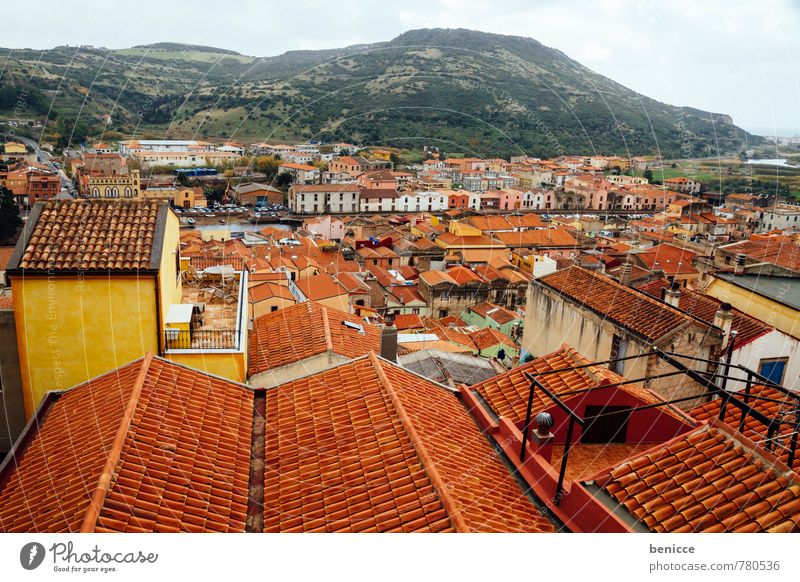 Bosa City Town Roof pink Italy Old town Sardinia Vacation & Travel Sun Sunbeam Shingle Bird's-eye view House (Residential Structure) Panorama (View) Skyline