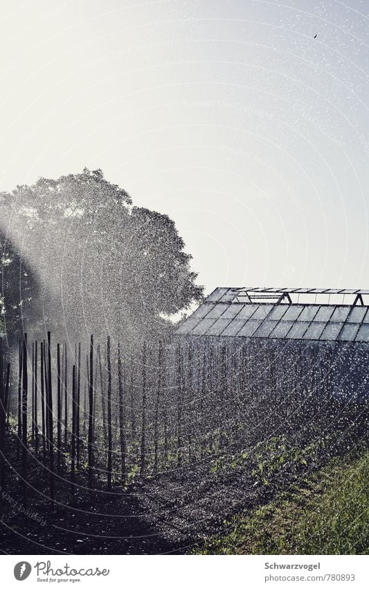 🌻 Bewässerung Wasser Wassersprenger Rasensprenger Landwirtschaft Gewächshaus