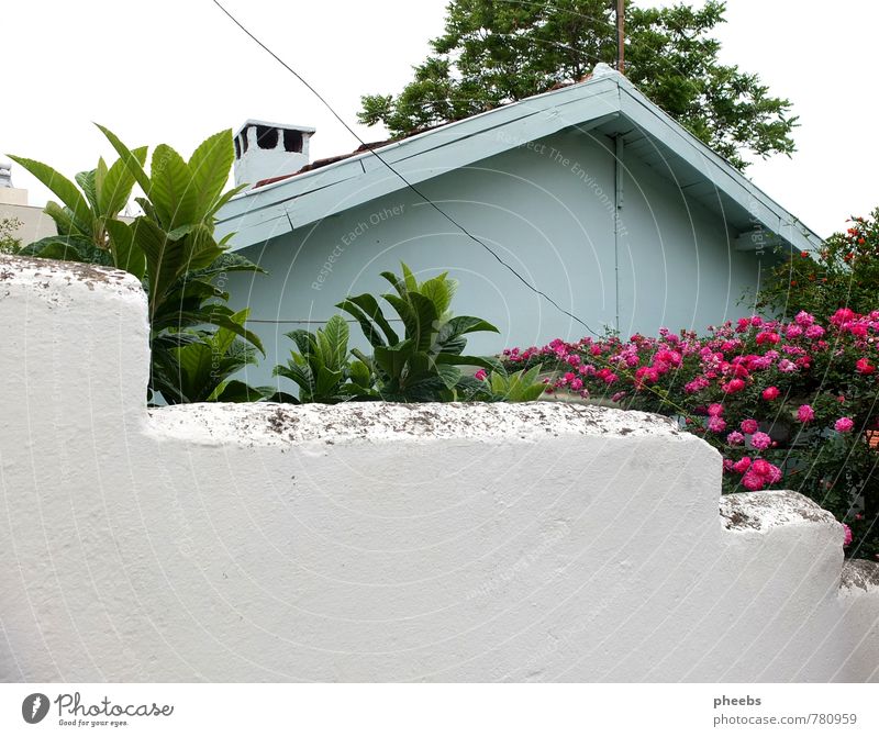 picture book house House (Residential Structure) Roof Wall (building) Living or residing Mint green Light blue Pastel tone Flower Street Wall (barrier) Behind