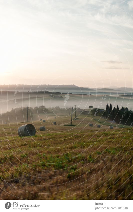 like the first morning Environment Nature Landscape Plant Sky Clouds Sunrise Sunset Summer Beautiful weather Fog Tree Hay Hay bale Cypress Meadow Field Hill