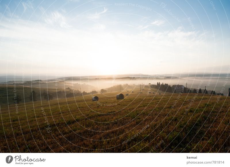early morning mist Environment Nature Landscape Air Sky Clouds Sunrise Sunset Sunlight Summer Beautiful weather Fog Tree Foliage plant Agricultural crop Cypress