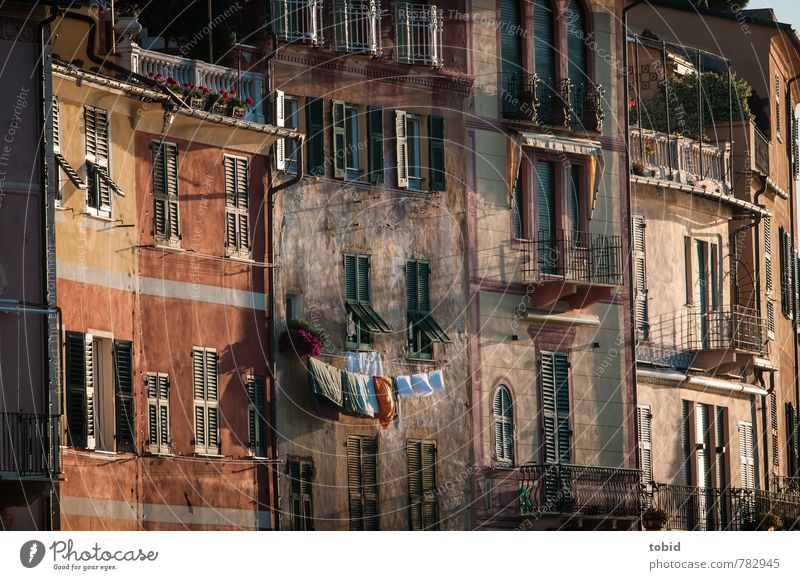 Little Italy Beautiful weather Portofino Village Town Port City Old town Deserted House (Residential Structure) Wall (barrier) Wall (building) Facade Balcony