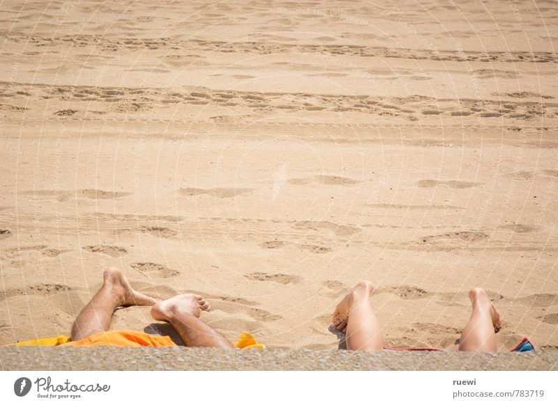 quadruped beach Beautiful Skin Relaxation Calm Leisure and hobbies Vacation & Travel Tourism Far-off places Summer Summer vacation Sunbathing Beach Human being