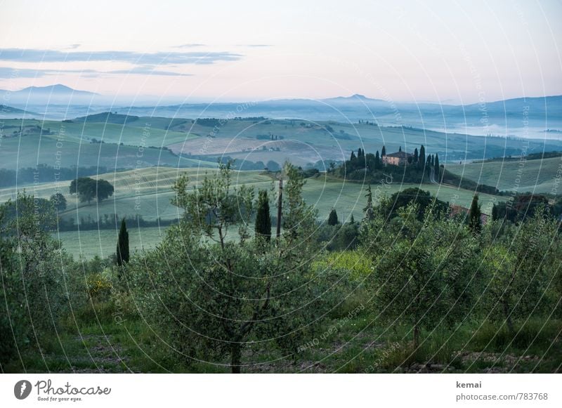 Tuscan morning Vacation & Travel Tourism Trip Far-off places Freedom Tuscany Italy Environment Nature Landscape Plant Sky Clouds Summer Fog Tree