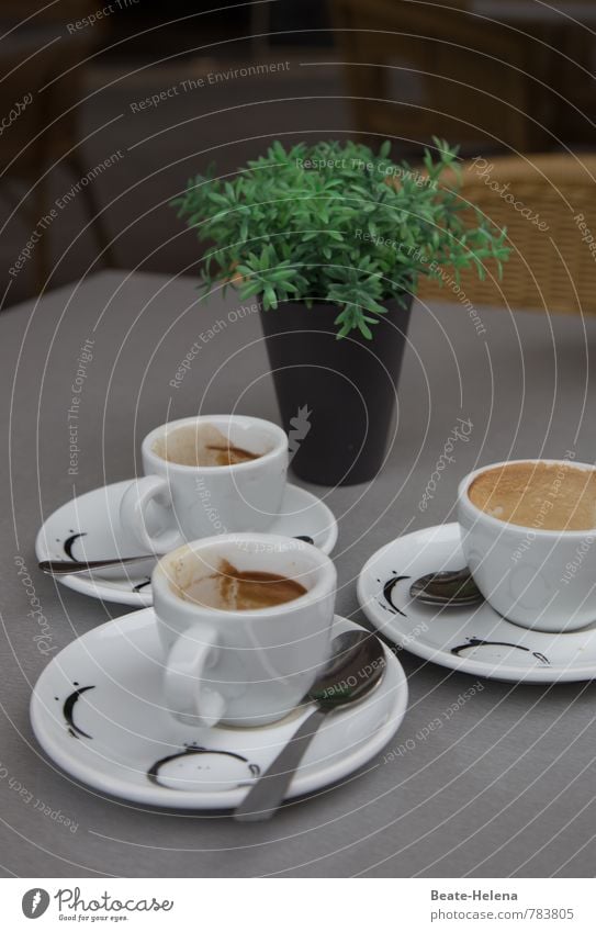 coffee to stay To have a coffee Coffee Espresso Plate Cup Spoon Lifestyle Foliage plant Relaxation To talk Drinking Friendliness Together Gray Green Black White