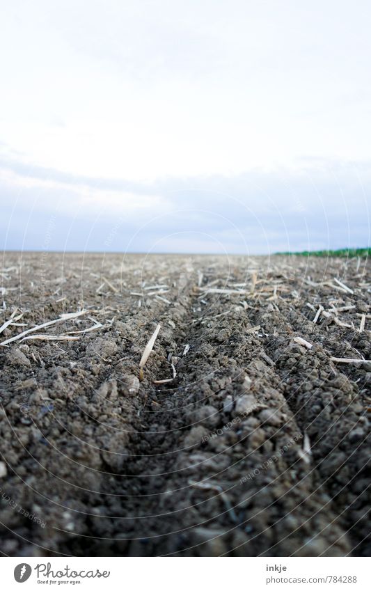 acre Agriculture Forestry Environment Nature Landscape Earth Sky Horizon Spring Summer Beautiful weather Field Deserted Fresh Brown Plowed Cornfield